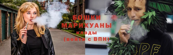 соль ск Козловка
