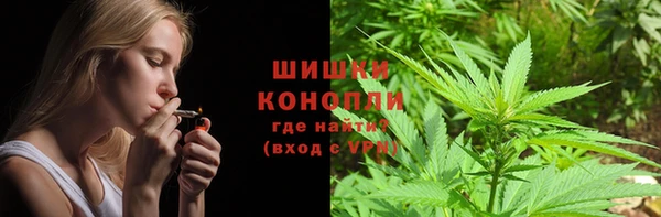 соль ск Козловка