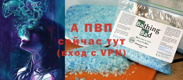 твердый Козельск