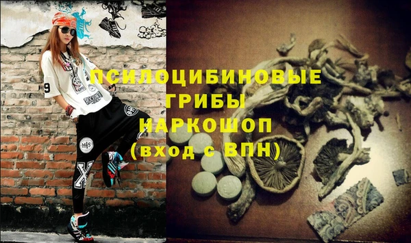 винт Кодинск