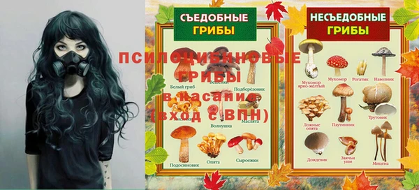 индика Корсаков