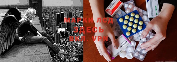 индика Корсаков