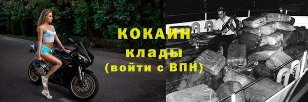 соль ск Козловка
