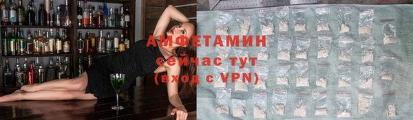 твердый Козельск
