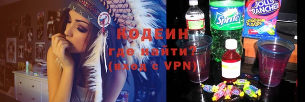 твердый Козельск