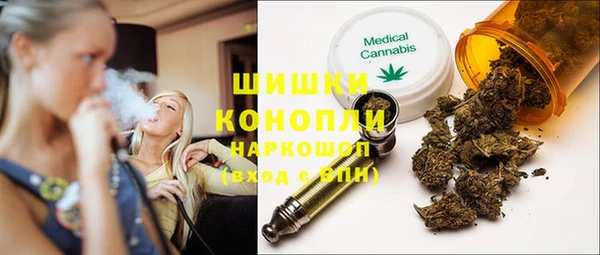 индика Корсаков