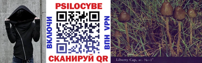 Псилоцибиновые грибы Psilocybine cubensis  Юрьевец 